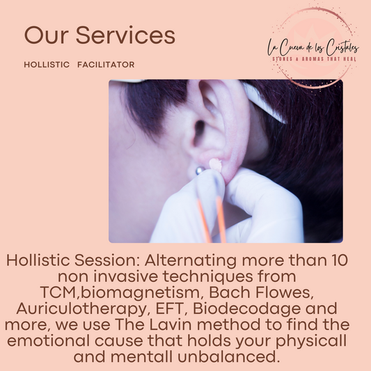 Our Services Holistic Session